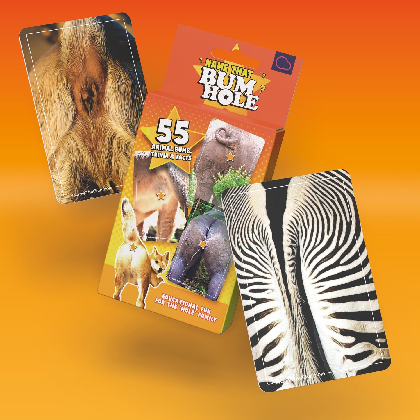 Name That Bumhole Trivia Card Game