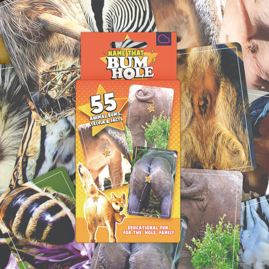 Name That Bumhole Trivia Card Game